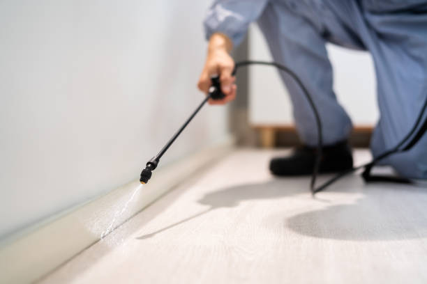 Licensed Pest Control service in Vinton, VA - Show Me Pest Control