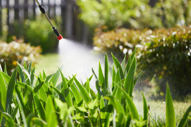 24/7 Emergency Wasp Removal experts in Vinton, VA