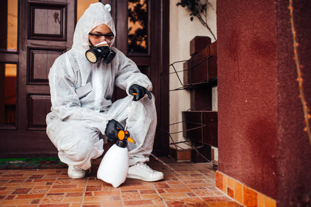 Reliable Wasp Removal contractor in Vinton, VA by Show Me Pest Control